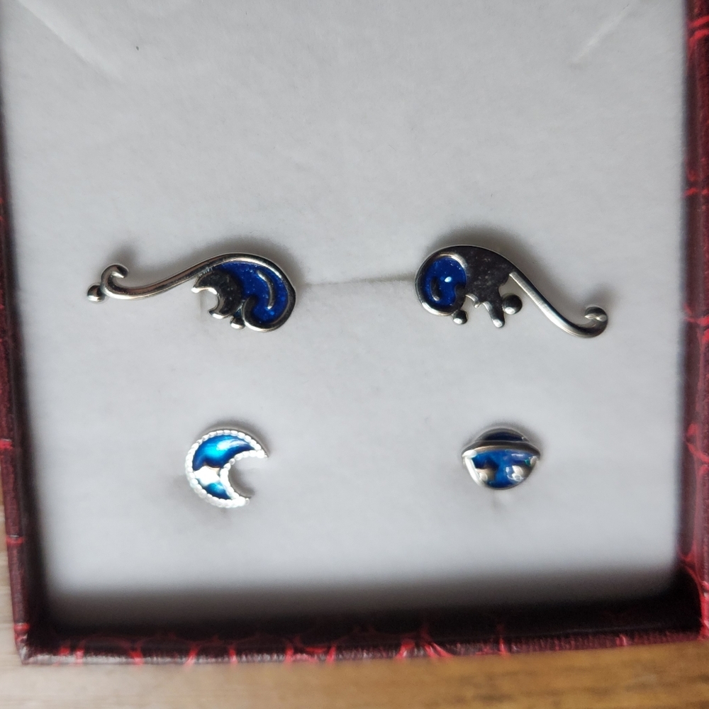 Earrings peirced